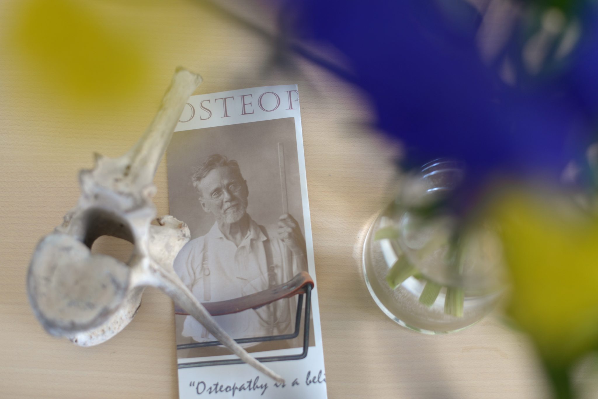 Ulrike Helfenstein, Osteopathie Horgen